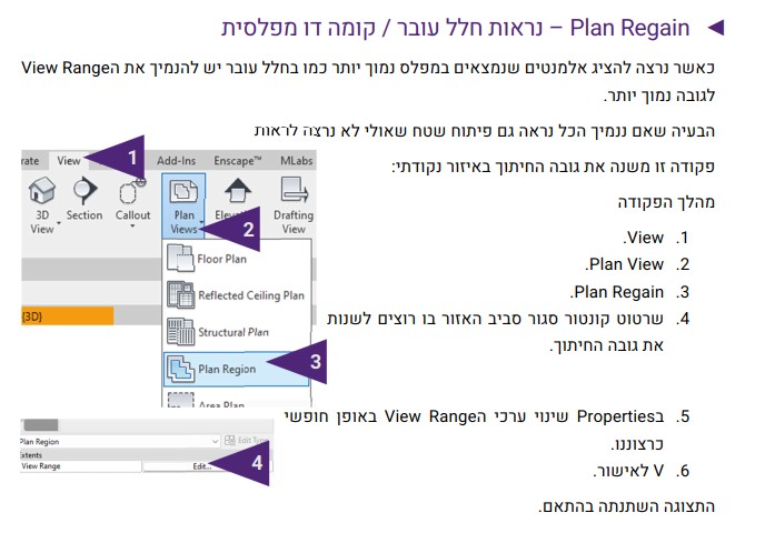 פקודת Plan Region ברוויט